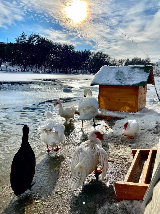 Lux Apartmani Vojinovic Zlatibor Buitenkant foto